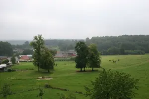 uitzicht vanuit het kasteel.webp